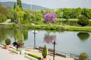 thumbnail: Lake