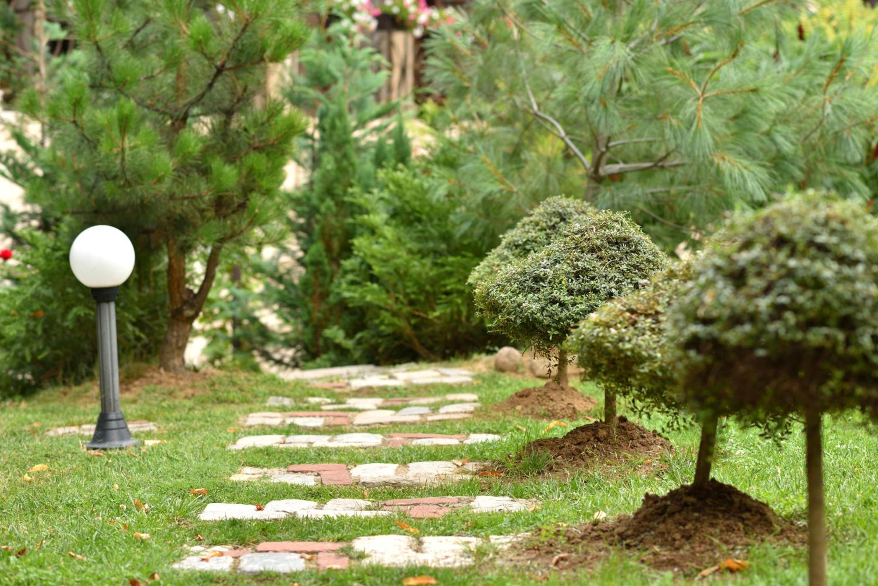 Surroundings