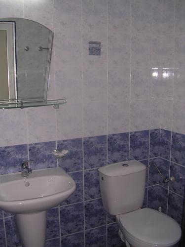 28449163.jpg