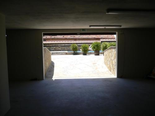 33469021.jpg