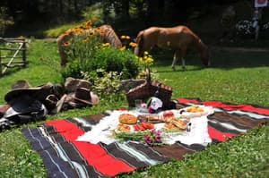 thumbnail: Horseback riding