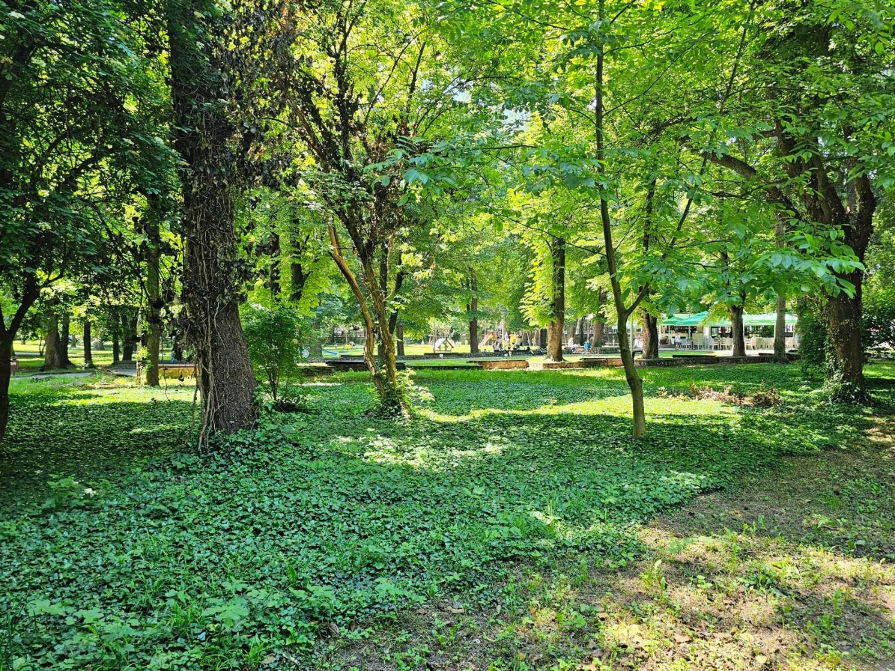 Surroundings