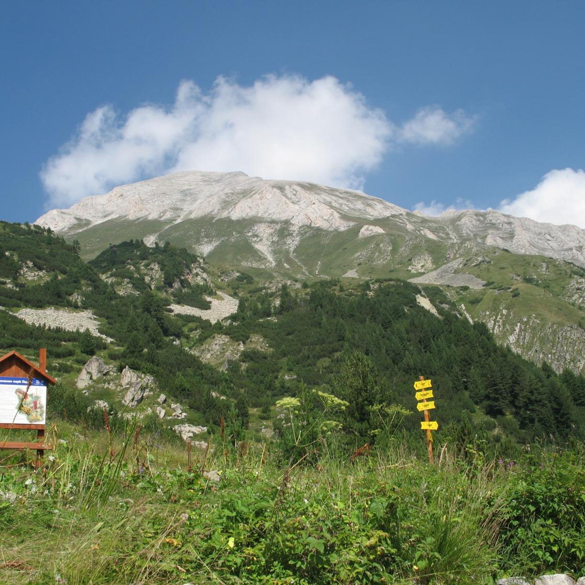 Surroundings