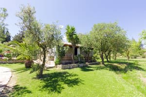 thumbnail: Terrace/patio
