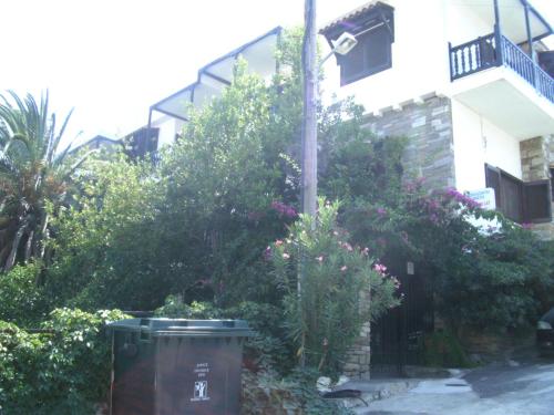 62351421.jpg