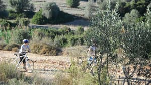 thumbnail: Bicycling