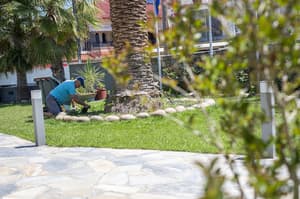 thumbnail: Garden