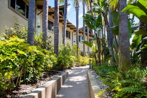 thumbnail: Property grounds