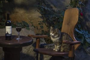 thumbnail: Outdoor dining