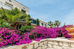 thumbnail: Garden