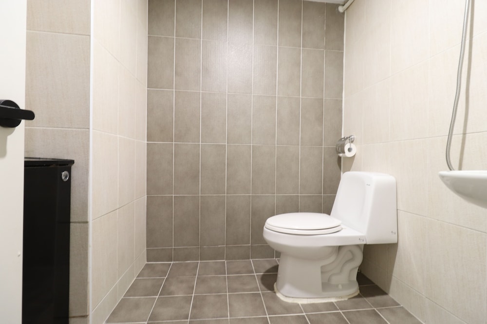 Cleanliness standards