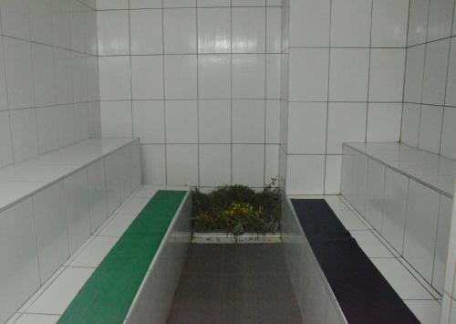 118169928.jpg