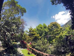 thumbnail: Garden