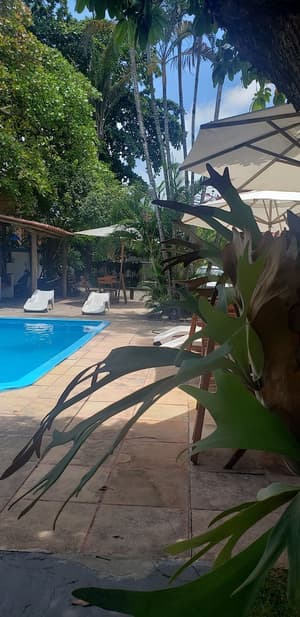 thumbnail: Outdoor pool