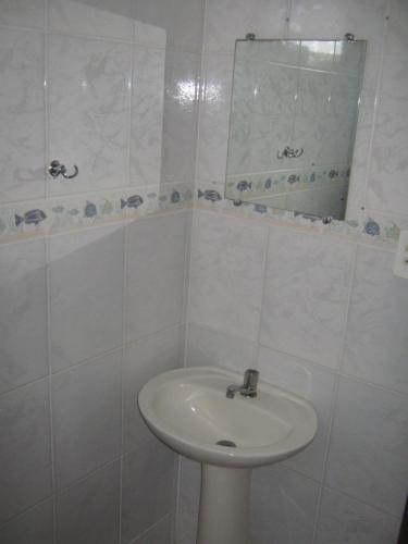 15540502.jpg