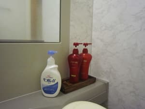 thumbnail: Bathroom amenities