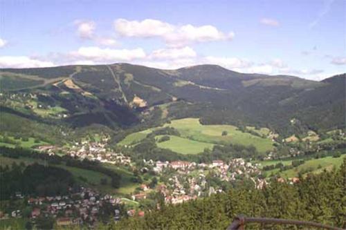 47390283.jpg