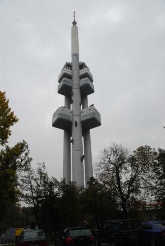 60588842.jpg
