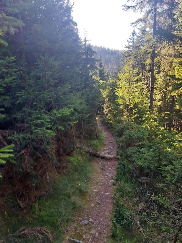 Hiking