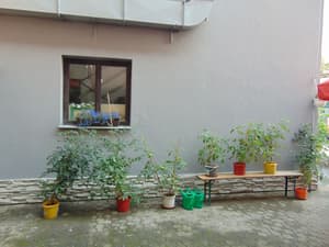 thumbnail: Garden