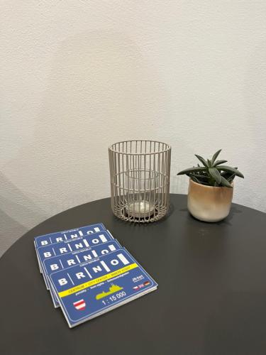 853907509.jpg