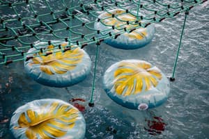 thumbnail: Water park