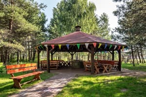 thumbnail: BBQ/picnic area
