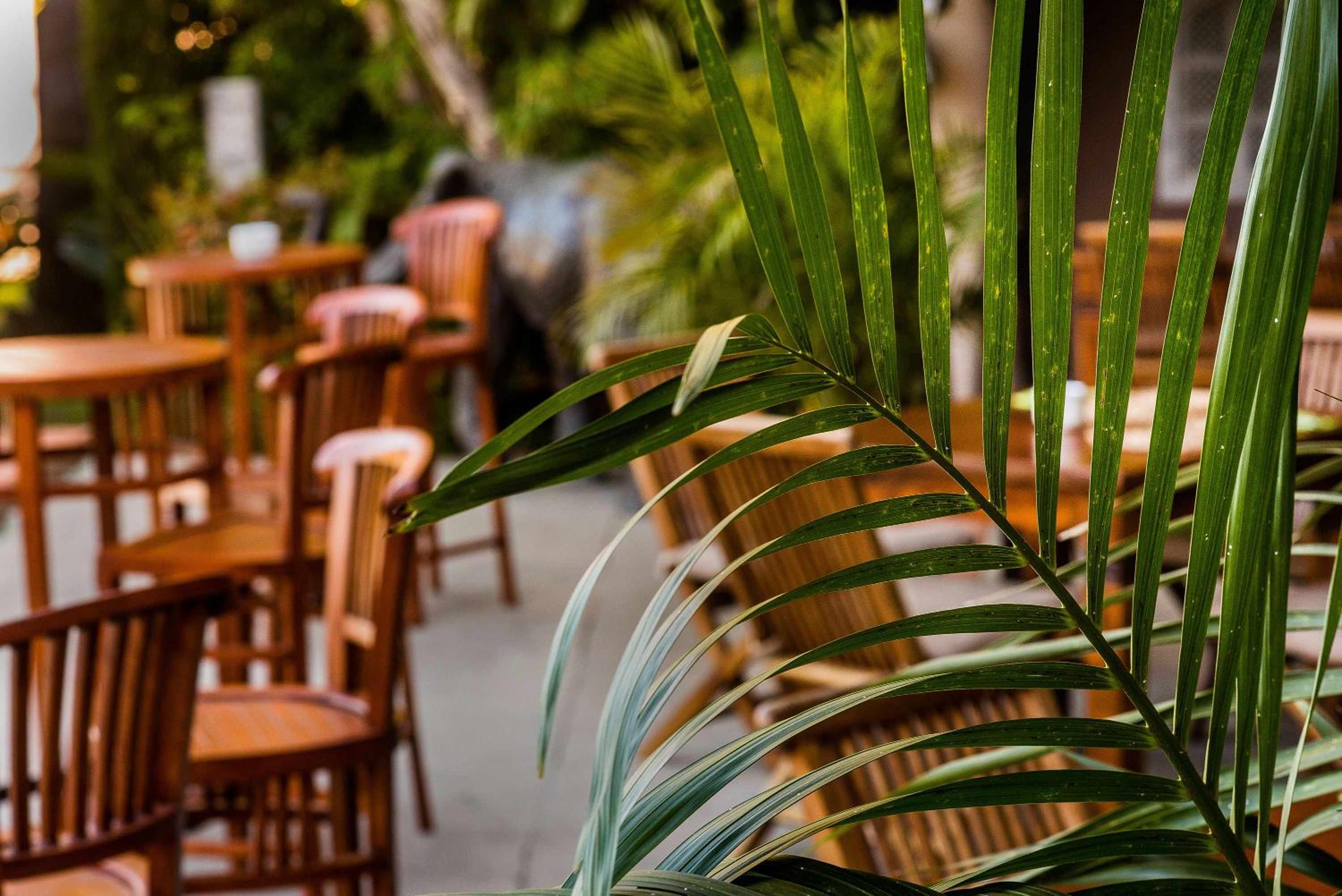Restaurant-cafeteria