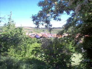 thumbnail: 31462948.jpg