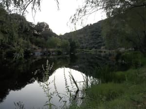 thumbnail: 35598512.jpg