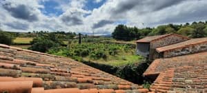thumbnail: 461397263.jpg
