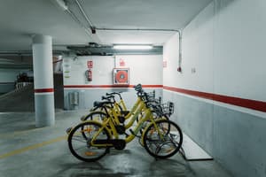 thumbnail: Bicycling