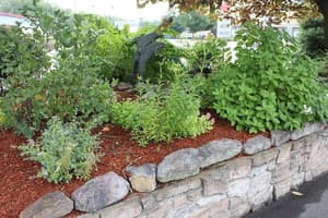 thumbnail: Garden