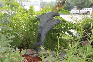 thumbnail: Garden