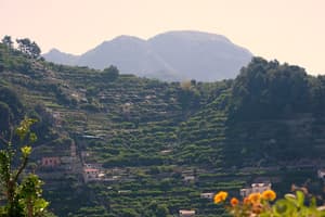 thumbnail: Land view from property