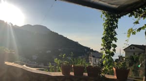 thumbnail: Rooftop terrace
