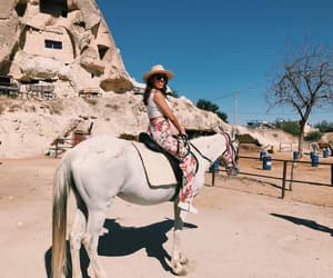 thumbnail: Horseback riding