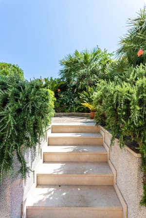thumbnail: Garden