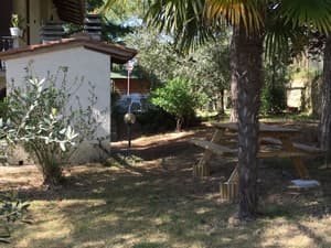 thumbnail: BBQ/picnic area