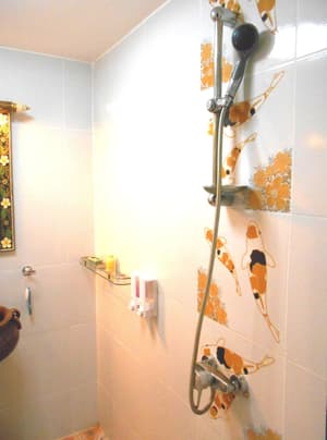 thumbnail: Bathroom shower
