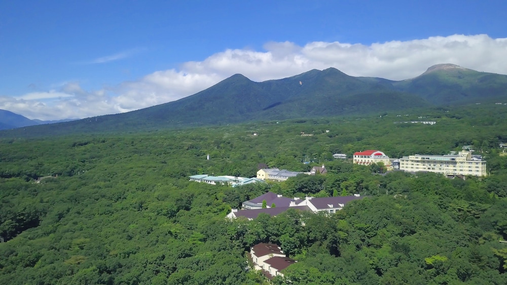 Primary image