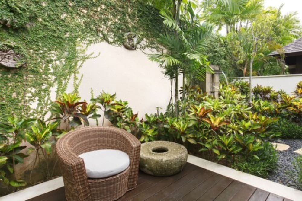 Garden view