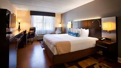 Guest Room,On-Site