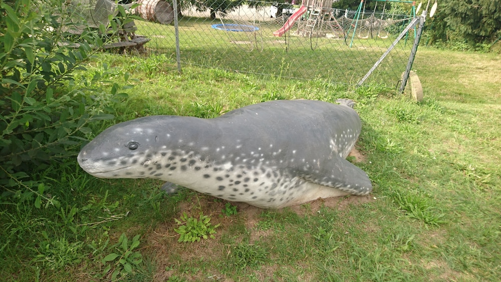 Children's play area - outdoor