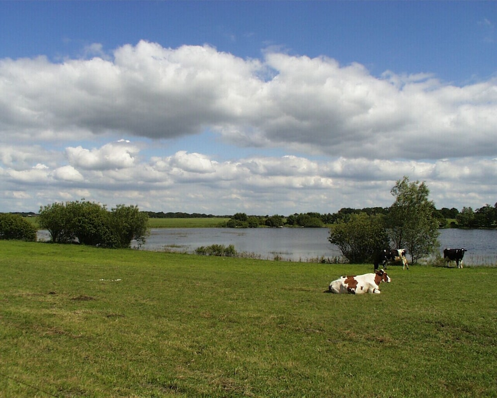 Land view from property