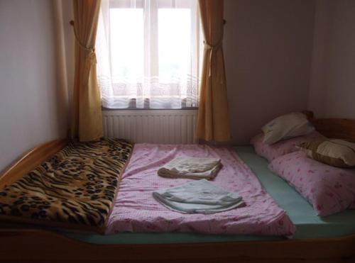 7716630.jpg