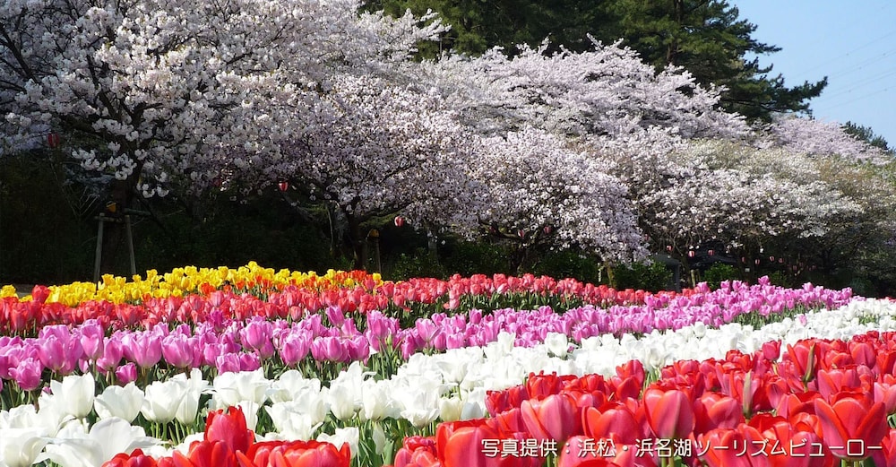 City view from property