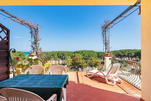 thumbnail: Terrace/patio