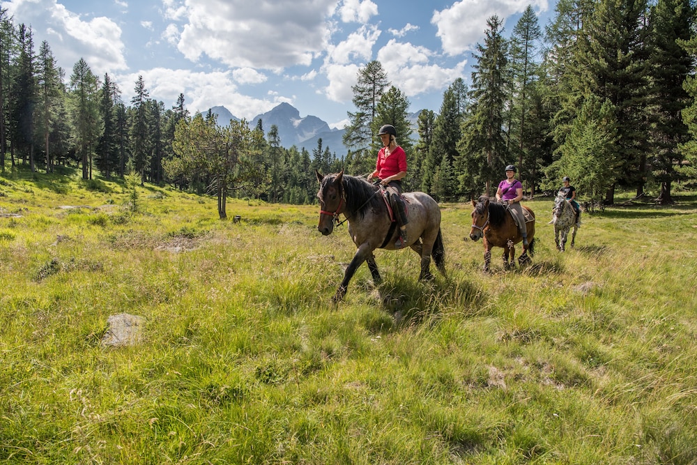 Horseback riding