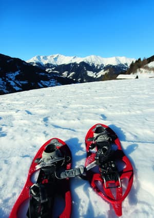 thumbnail: Snowshoeing
